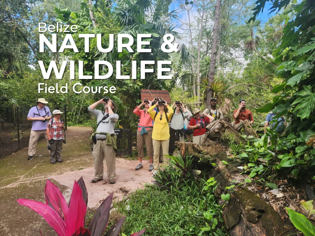Belize Nature and Wildlife Field Course