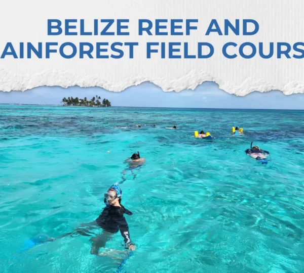 Belize Reef and Rainforest Field Course