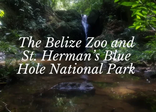 The Belize Zoo and St. Herman’s Blue Hole National Park